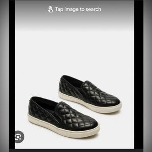 STEVE MADDEN Encentrcq Slip on Shoe